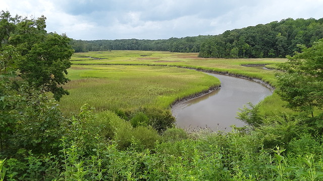 Công viên tiểu bang sông York