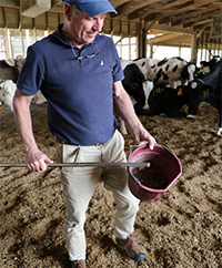 Kiểm tra ô nhiễm nps