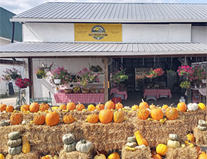 Nông trại quán rượu cũ