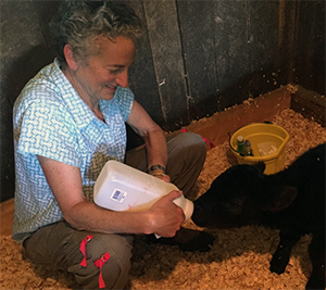 Karla Evans, Trang trại Creek Hill