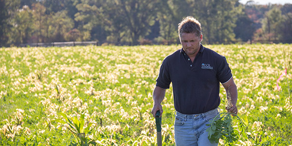 Nhân viên DCR trong một lĩnh vực
