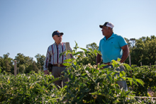 Rosas Farm - Lập kế hoạch quản lý chất dinh dưỡng