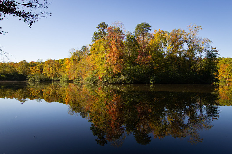 Foliage at Bear Creek Lake State Park