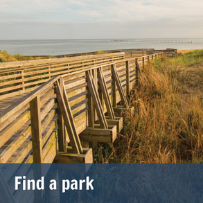 Tìm một công viên