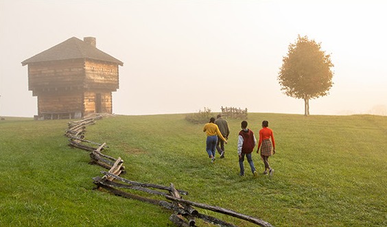 hình ảnh nổi bật