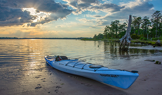 hình ảnh mới có gì