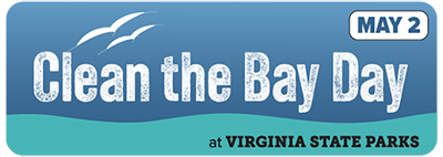 Ngày làm sạch vịnh