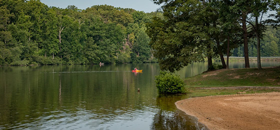 hình ảnh thanh trượt