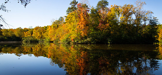 hình ảnh thanh trượt