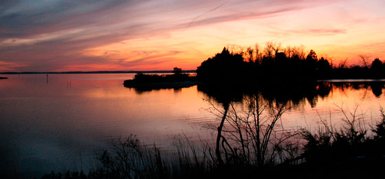 hình ảnh thanh trượt