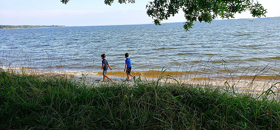 hình ảnh thanh trượt