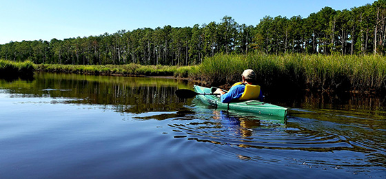 hình ảnh thanh trượt
