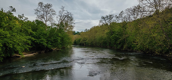 hình ảnh thanh trượt