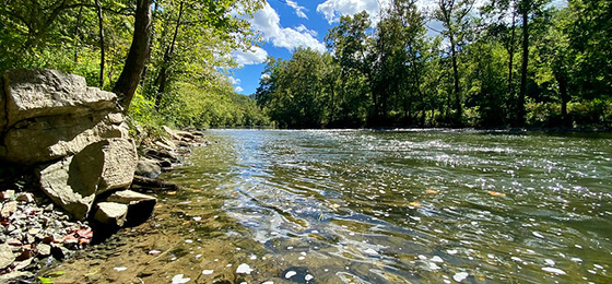 hình ảnh thanh trượt