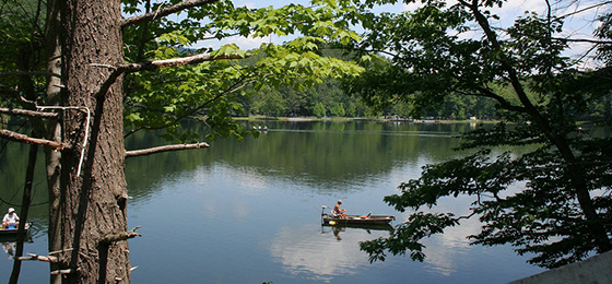 hình ảnh thanh trượt