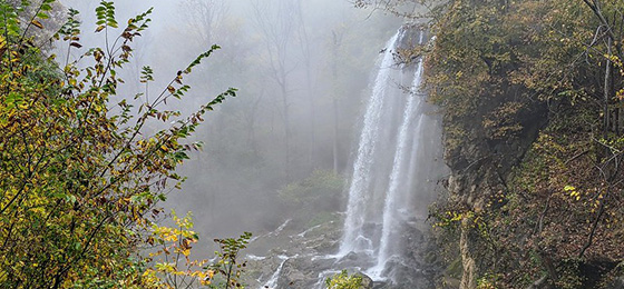 hình ảnh thanh trượt