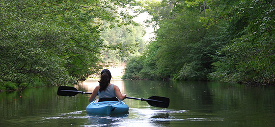 hình ảnh thanh trượt