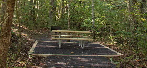 hình ảnh thanh trượt