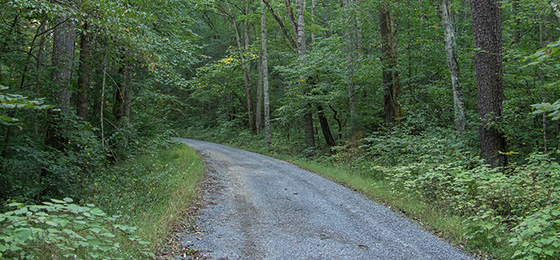 hình ảnh thanh trượt