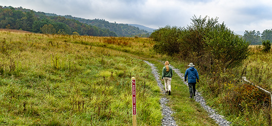 hình ảnh thanh trượt