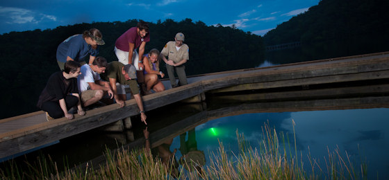 hình ảnh thanh trượt