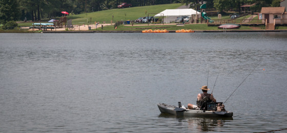 hình ảnh thanh trượt