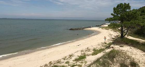 hình ảnh thanh trượt