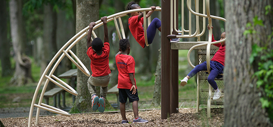 hình ảnh thanh trượt