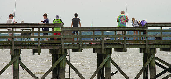 hình ảnh thanh trượt