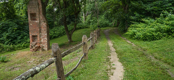 hình ảnh thanh trượt