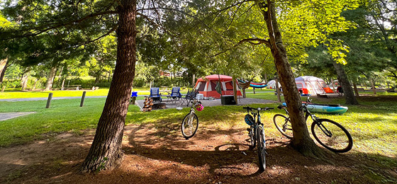 hình ảnh thanh trượt