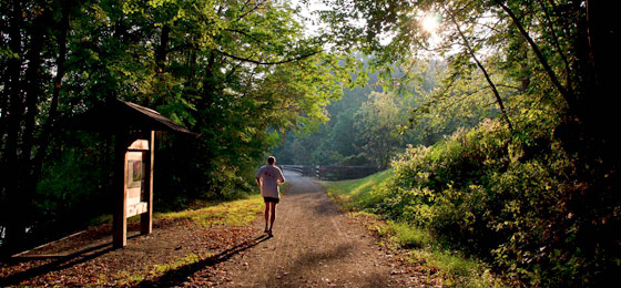 hình ảnh thanh trượt