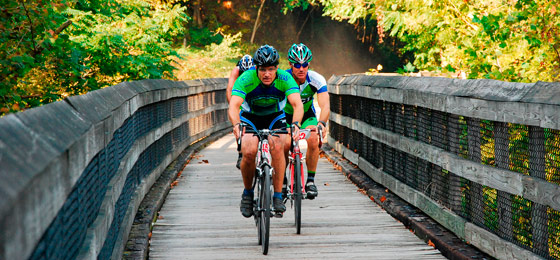 hình ảnh thanh trượt