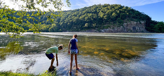 hình ảnh thanh trượt