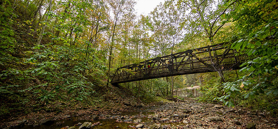 hình ảnh thanh trượt