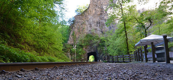 hình ảnh thanh trượt