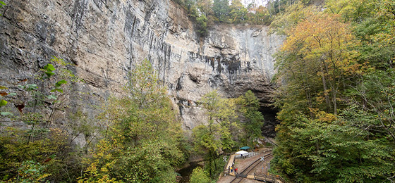 hình ảnh thanh trượt