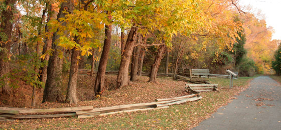 hình ảnh thanh trượt