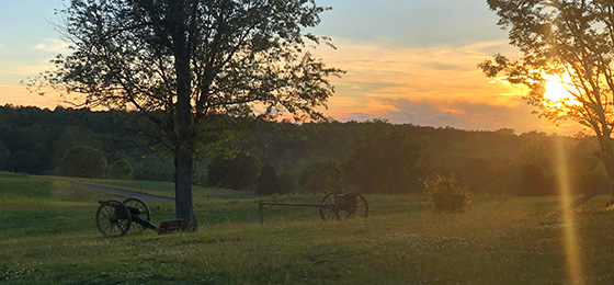 hình ảnh thanh trượt