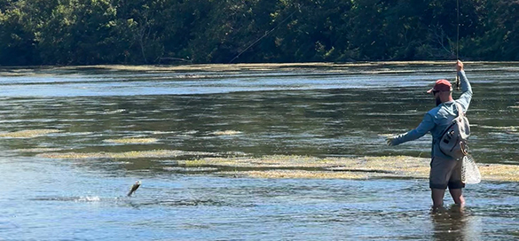 hình ảnh thanh trượt