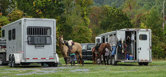 hình ảnh thanh trượt