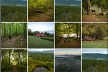 Ảnh nhấp nháy cho Công viên tiểu bang Sweet Run