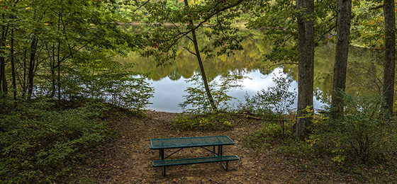 hình ảnh thanh trượt