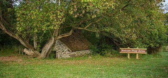 hình ảnh thanh trượt