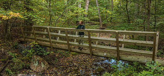 hình ảnh thanh trượt