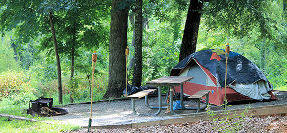 hình ảnh thanh trượt