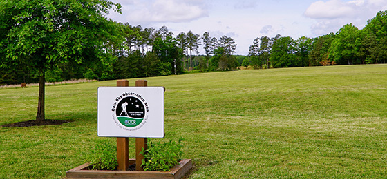 hình ảnh thanh trượt