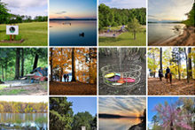 Ảnh nhấp nháy cho Công viên tiểu bang Staunton River