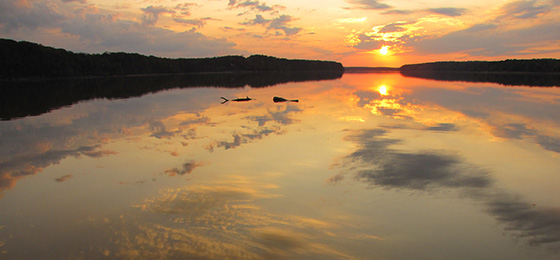 hình ảnh thanh trượt