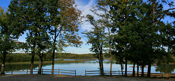 hình ảnh thanh trượt